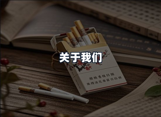 关于我们